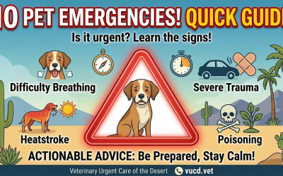 The Top 10 Most Common Pet Emergencies and How to Respond